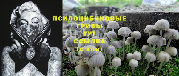прущая мука Белоозёрский