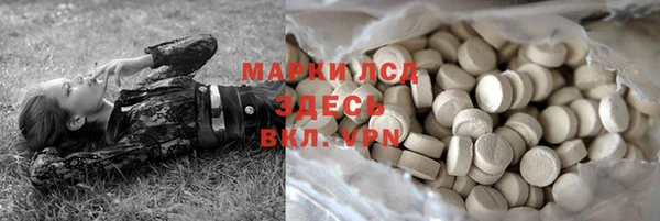 PSILOCYBIN Беломорск