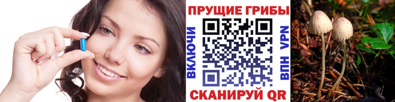 Псилоцибиновые грибы Psilocybe  Купить где  Асино 